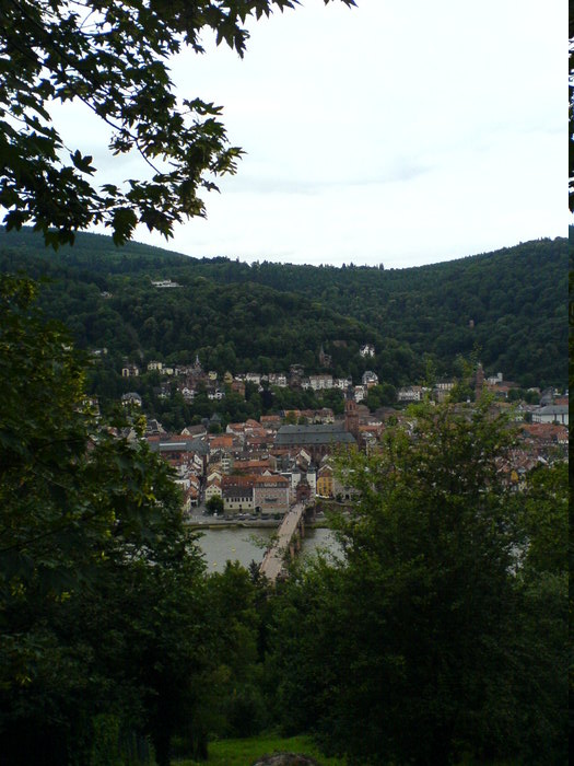 picture #7: dsc00011.jpg